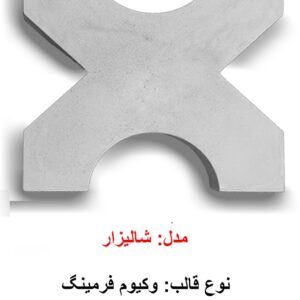 مدل شالیزار