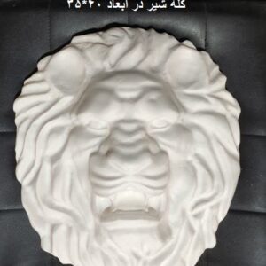 کله شیر نما رومی